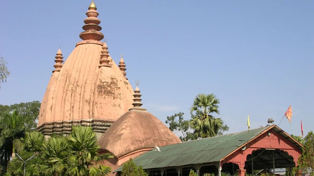 Discover_the_natural_wonders_of_Dibru-Saikhowa_National_Park_with_TravelTaxi_s_guided_tours_in_Assam.