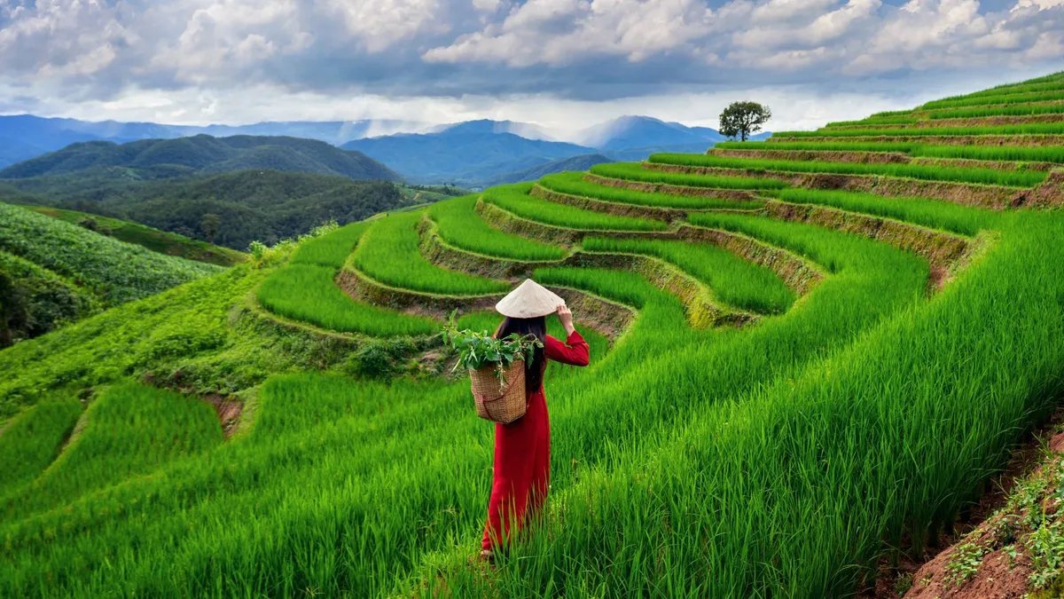 Discover_the_scenic_beauty_of_Umiam_Lake_with_TravelTaxi_s_guided_tours_in_Meghalaya.