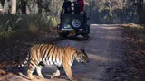 Explore_the_ancient_Bandhavgarh_Fort_with_TravelTaxi_s_guided_historical_tours_in_Bandhavgarh_National_Park_Madhya_Pradesh.
