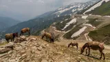 Kishtwar_2_.jpg