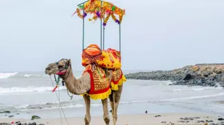 Discover_the_spiritual_charm_of_St._Paul_s_Church_with_TravelTaxi_s_guided_tours_in_Diu.