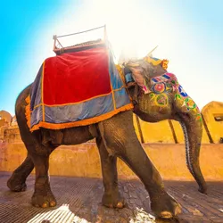 Amber_Fort_Jaipur_Majestic_hilltop_fort_with_stunning_architecture_TravelTaxi