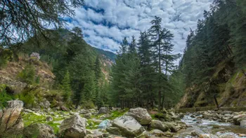 Explore_the_lush_green_landscapes_of_Kasauli_with_TravelTaxi_s_guided_tours_in_Himachal_Pradesh.