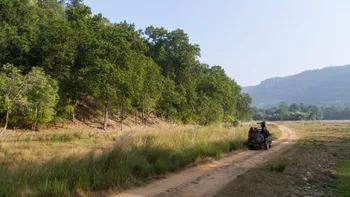 Grasslands_of_Bandhavgarh_National_Park_1_.jpg