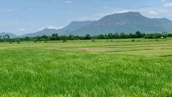 Gudimallam_village_farms_and_environment__Andhra_Pradesh_India_1_.jpg