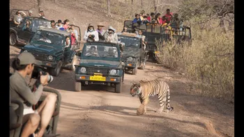 Indulge_in_natural_grandeur_with_TravelTaxi_-_The_majestic_Jeep_Safari_in_Ladakh_s_Nubra_Valley.