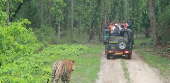 Kanha_National_7_.jpg