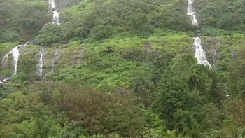 Tamhini_ghat_in_rainy_season_42_2_.JPG