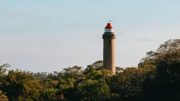 _Discover_the_natural_wonders_of_Ooty_with_TravelTaxi_s_guided_tours_in_Tamil_Nadu_s_Queen_of_Hill_Stations.