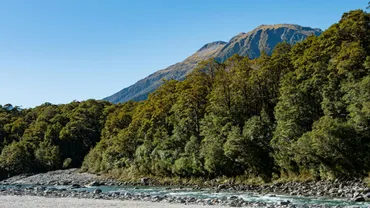 Experience_the_thrill_of_Ziro_Valley_with_TravelTaxi_s_guided_adventures_in_Arunachal_Pradesh.