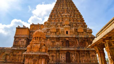 Experience_the_wildlife_wonders_of_Mudumalai_National_Park_with_TravelTaxi_s_guided_safaris_in_Tamil_Nadu.