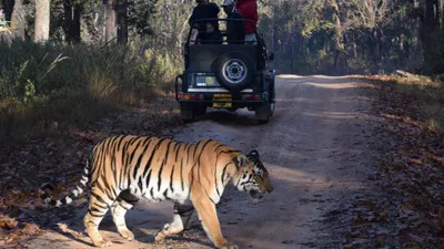 Explore_the_ancient_Bandhavgarh_Fort_with_TravelTaxi_s_guided_historical_tours_in_Bandhavgarh_National_Park_Madhya_Pradesh.