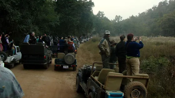 Discover_natural_wonders_with_TravelTaxi_-_The_scenic_Jeep_Safari_in_Ranthambore_National_Park.