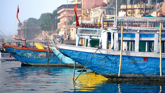 Discover_the_natural_beauty_of_Dudhwa_National_Park_with_TravelTaxi_s_guided_safaris_in_Uttar_Pradesh.