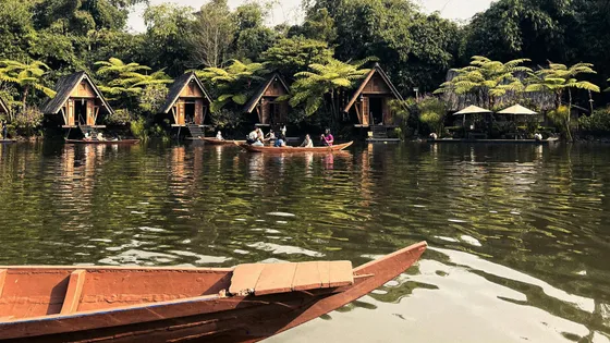 Discover_the_natural_beauty_of_the_Sundarbans_with_TravelTaxi_s_guided_tours_in_West_Bengal.