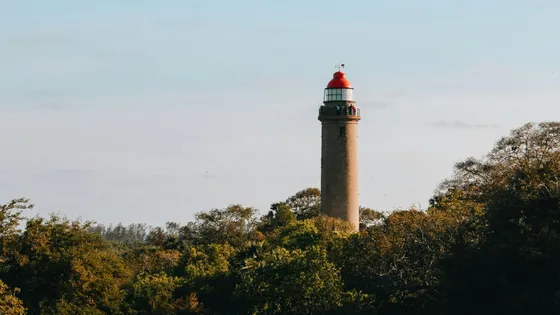 _Discover_the_natural_wonders_of_Ooty_with_TravelTaxi_s_guided_tours_in_Tamil_Nadu_s_Queen_of_Hill_Stations.