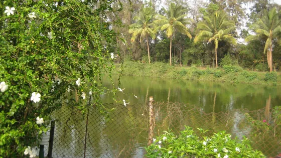 Experience_the_adventure_of_trekking_at_Satmalia_Deer_Park_with_TravelTaxi_s_guided_tours_in_Dadra_and_Nagar_Haveli.