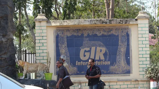 Explore_the_Gir_Jungle_Trail_with_TravelTaxi_s_guided_nature_walks_in_Gir_National_Park.