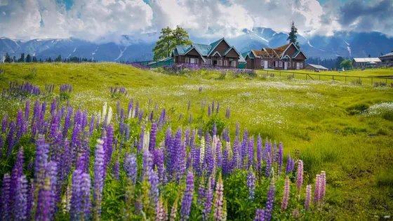 pexels-photo-8627807_1_