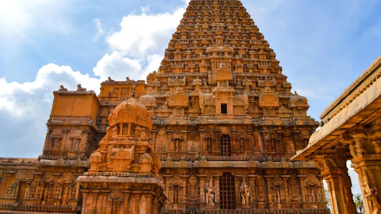 Experience_the_wildlife_wonders_of_Mudumalai_National_Park_with_TravelTaxi_s_guided_safaris_in_Tamil_Nadu.