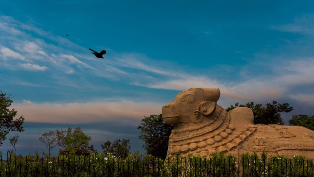 10 Days Captivating Coastal Andhra Tour