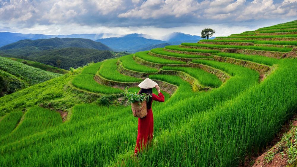 7 Days Enchanting Kaziranga and Meghalaya Tour