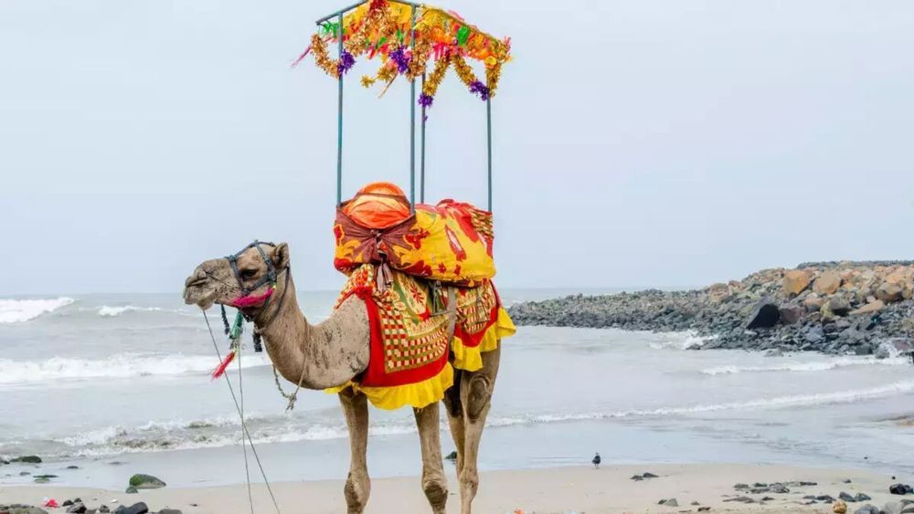 3-Day Ahmedabad Diu Weekend Tour: Urban Heritage to Coastal Charm