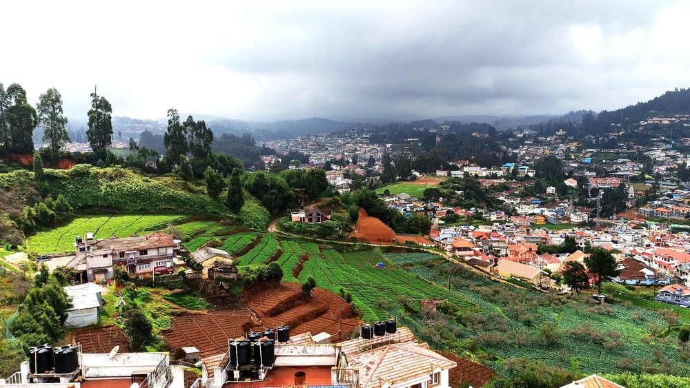 8-Day Unexplored Northeast: Assam & Meghalaya Hidden Gems