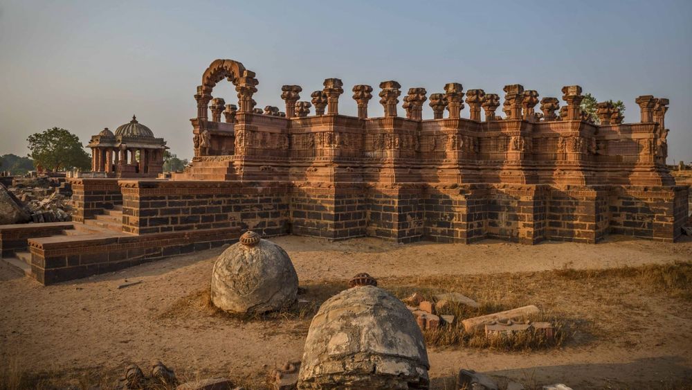 10-Day Gujarat Wildlife and Birding Tour: From Lions to Flamingos