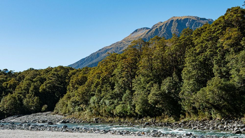 10 Days Northeast Splendors: Assam, Meghalaya & Nagaland Odyssey