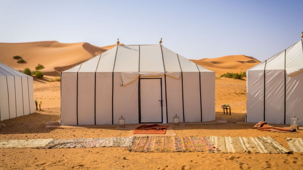 11 Days Majestic Forts of Rajasthan Expedition
