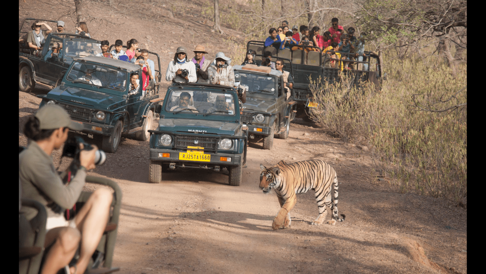 3 Days Delhi-Rajaji Weekend Getaway: Wildlife & Spirituality