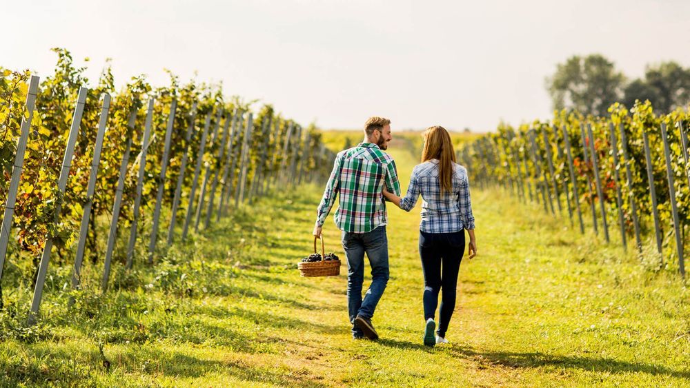 4 Days Romantic Manali: Honeymoon in Himalayas | Mountain Getaway