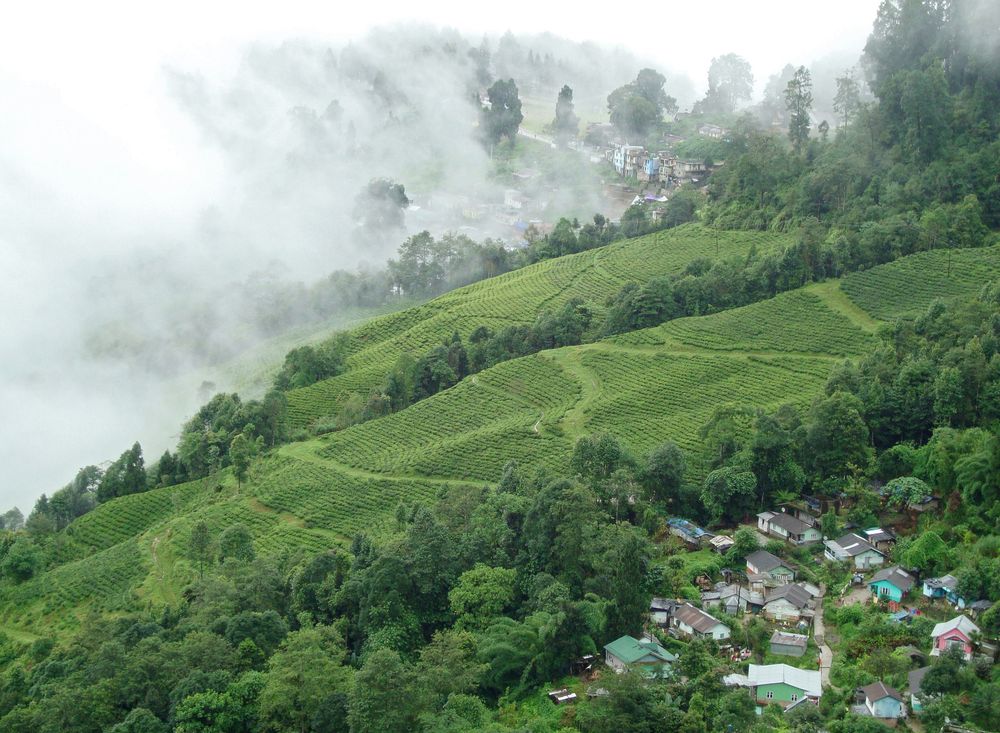 Day 4: Shillong to Cherrapunji (60 km) By Road 2 Hours route image
