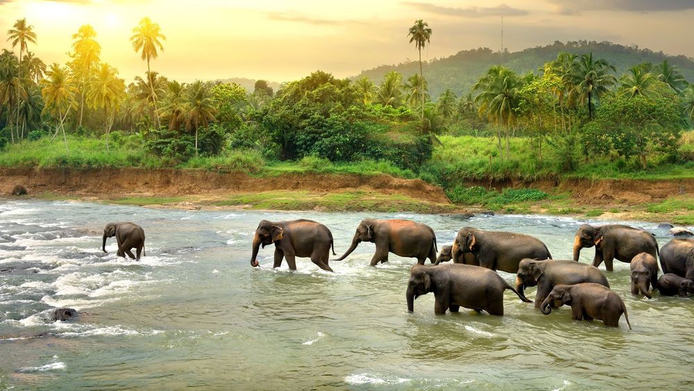 11 Days Best of South India Tour: Culture, Nature & Heritage