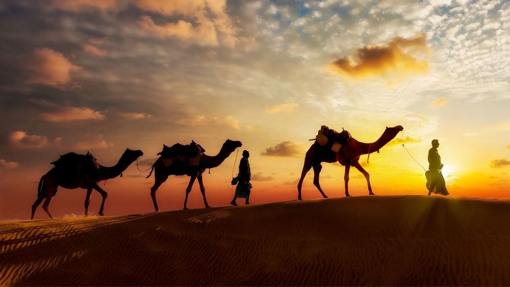 Jodhpur Overnight Desert Stay – Camel Safari & Marwari Meals