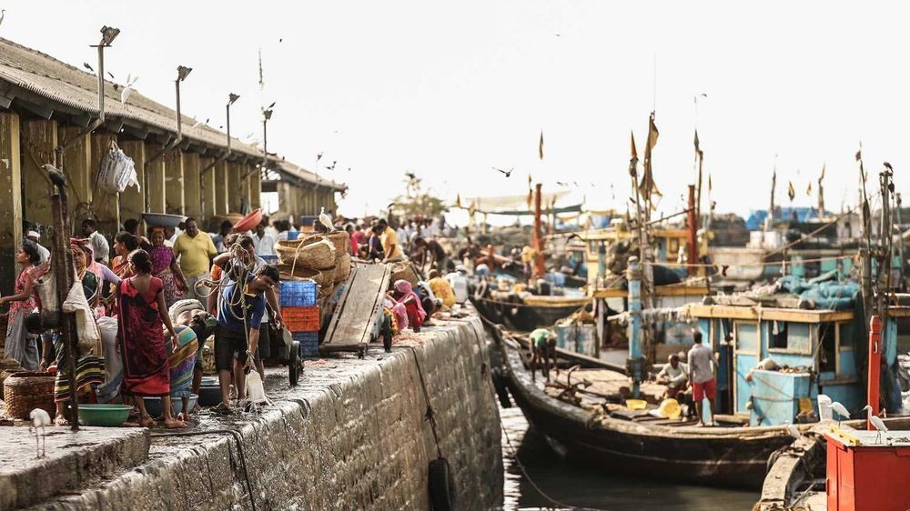 Travelers viewing Dhobi Ghat with a local guide on a private Mumbai sightseeing tour