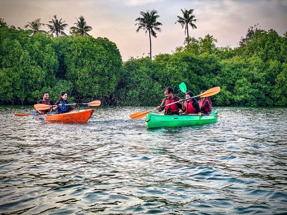 Kumbalangi Kayak Tour Kochi – Sunrise or Sunset Paddle