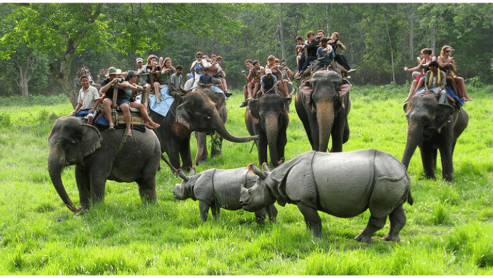 16 Days Assam & Arunachal Wildlife Safari: Rhinos to Red Pandas