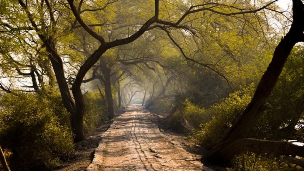 5 Days Kerala Splendor Tour from Mumbai: Coast to Hills