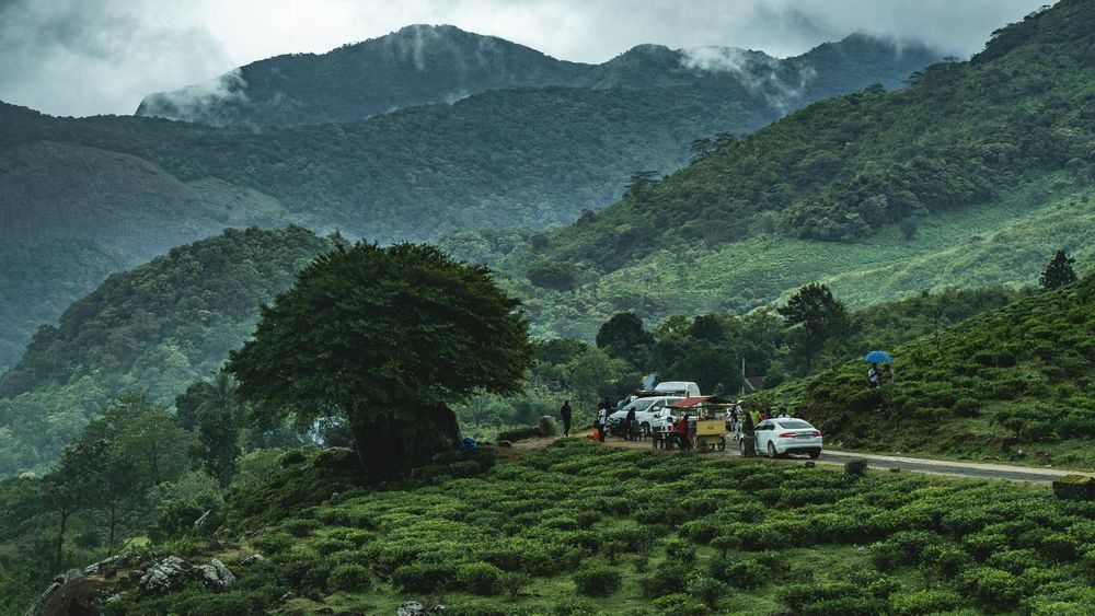 5 Days Darjeeling-Pelling Tea Trails to Kanchenjunga Vistas