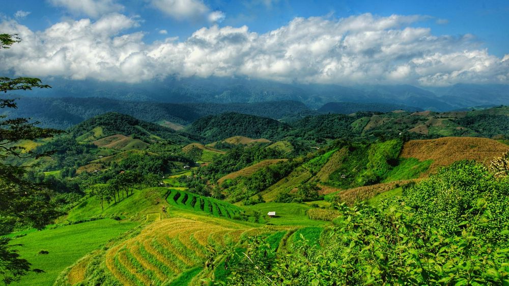 6 Days Hill Triangle: Darjeeling, Gangtok & Kalimpong Adventure