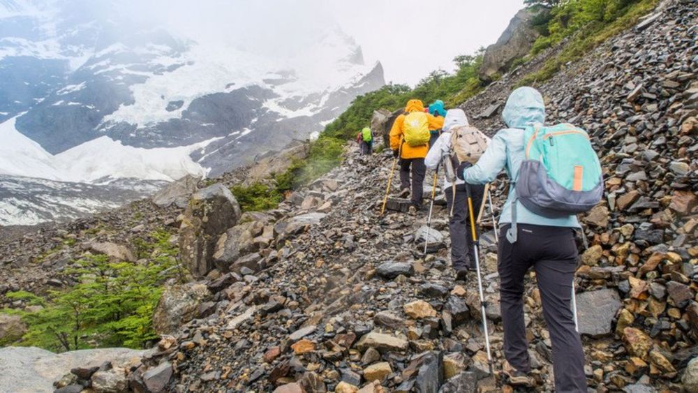 9 Days Singba Rhododendron Sanctuary Trek: Blooming Himalayan Adventure