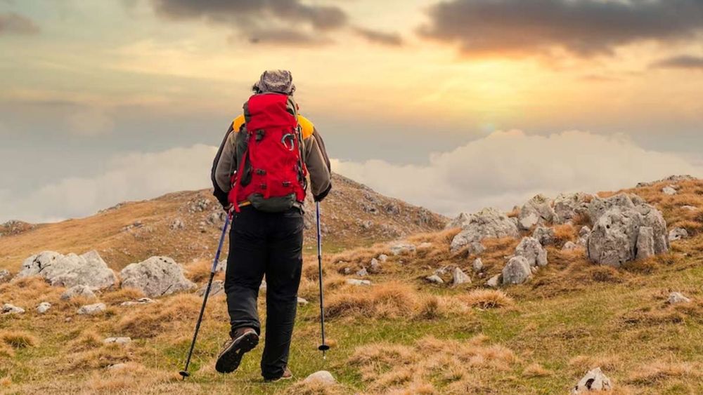 7 Days Singalila Sandakphu Trek: Himalayan Panorama Adventure