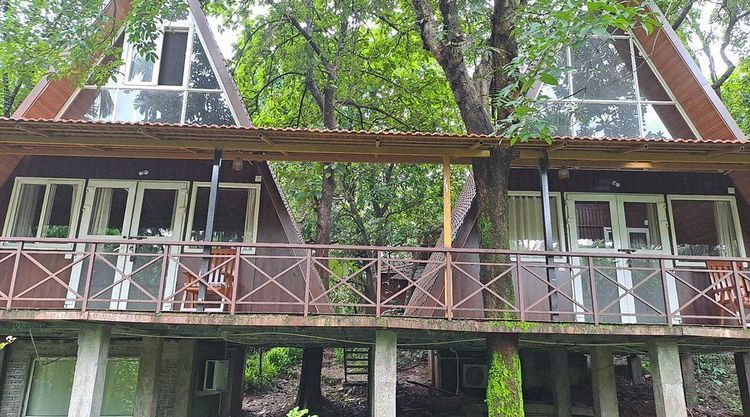 Tanshikar Spice Farm Goa – Spices, Bees & Eco Living