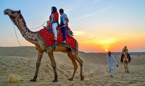 Travelers having sunrise breakfast before returning from a two-day Jaisalmer camel safari