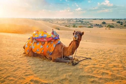 Jaisalmer Golden City Tour – 6 Sights by Private Car