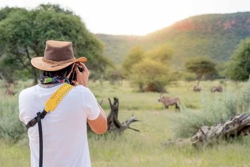 India Wildlife Photography Safari – Private National Park Experience activity