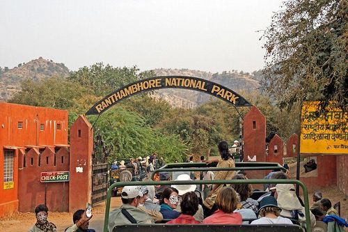Guests watching deer and forest wildlife from an open safari vehicle in Ranthambore